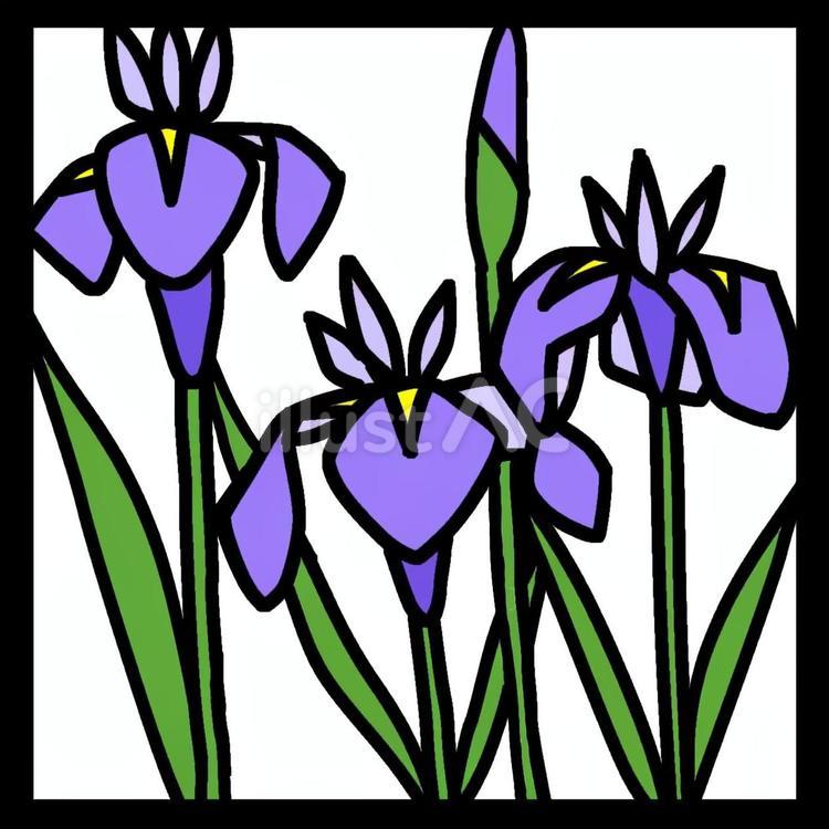 切絵図案（正方形）5月　あやめ 切り絵,図案,デザインのイラスト素材