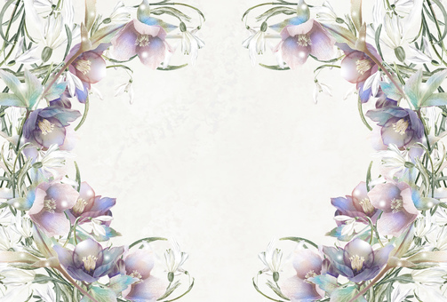 スノードロップとクリスマスローズの花枠4 冬,花,12月,1月,クリスマスローズ,スノードロップ,植物,雪,イラスト,手描きのイラスト素材