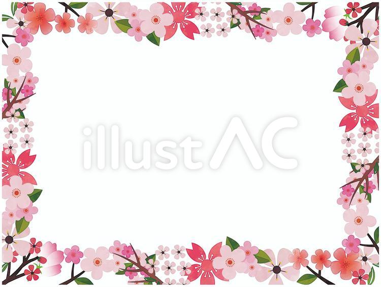 桜フレーム枠 春,ピンク,可愛いのイラスト素材