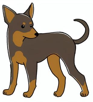 Miniature Pinscher, JPG and PNG Miniature Pinscher, dog, miniature pinscher, small dog, JPG and PNG
