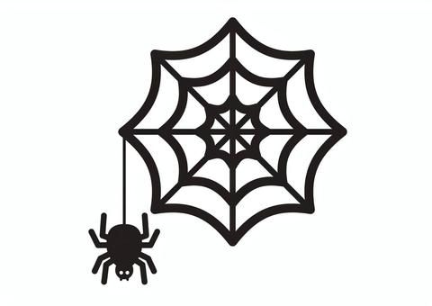 ハロウィン　蜘蛛