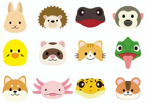 ペットで飼われる生き物セット ペット,動物,生き物,飼う,飼育,小動物,うさぎ,ネザーランドドワーフ,ハリネズミ,アカハライモリのイラスト素材