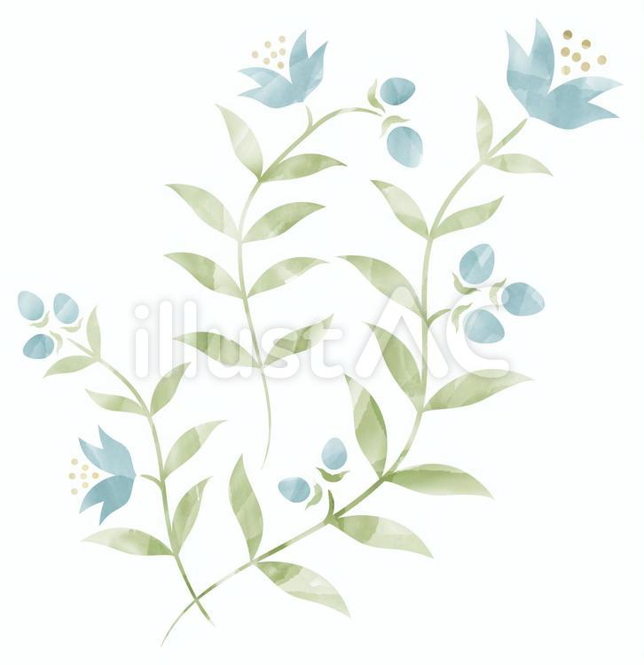 植物（水彩塗り） 花,花柄,水彩のイラスト素材