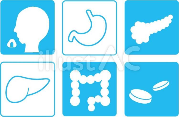 医療　消化器　アイコン 消化,消化器,医療のイラスト素材