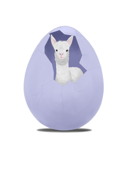 From the egg ..., JPG From the egg ..., alpaca, egg, baby, JPG