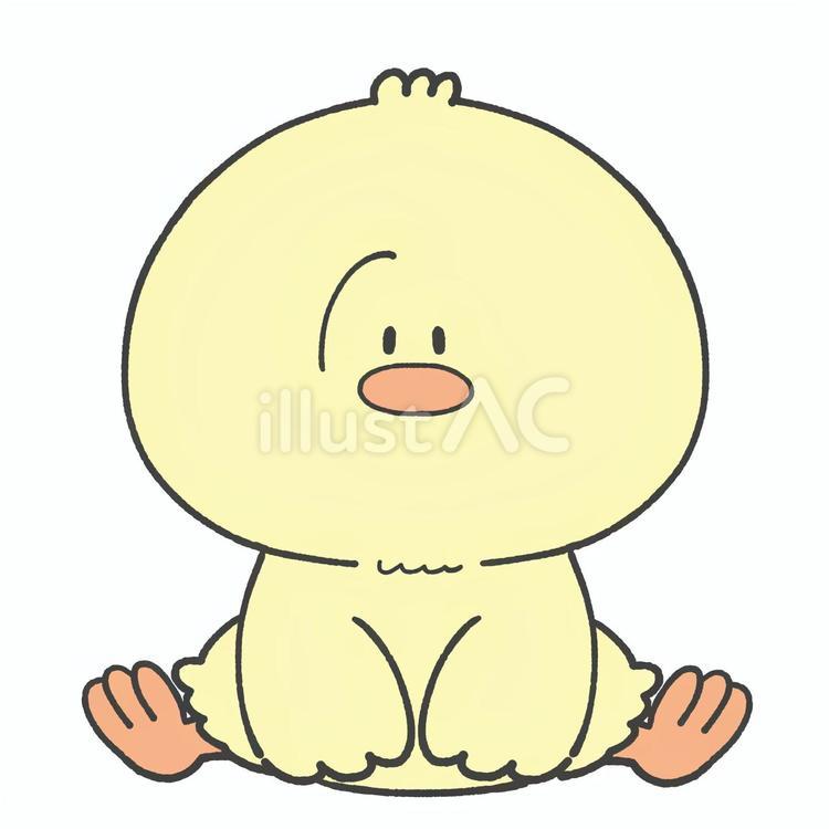 かわいいヒヨコの手描きイラスト ヒヨコ,かわいい,手描きのイラスト素材