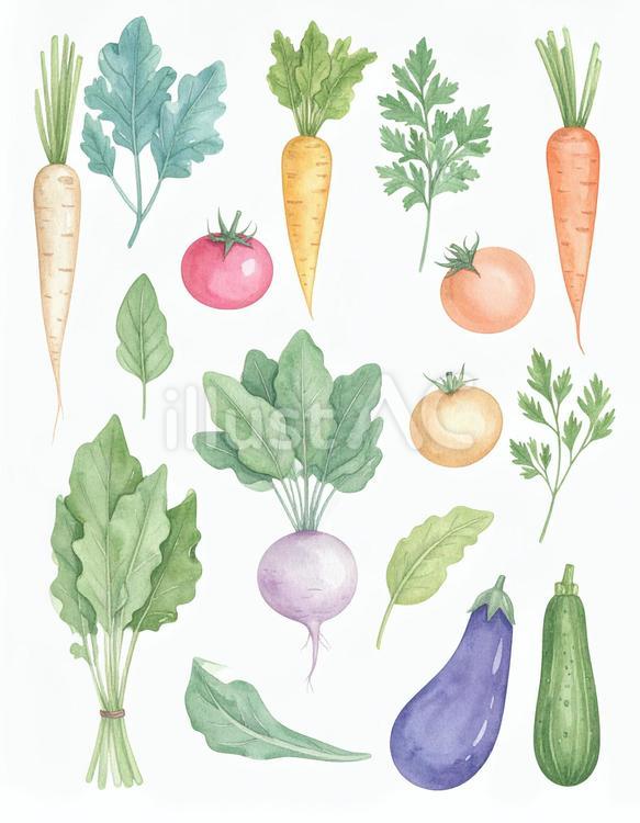 背景透過野菜イラスト - No: 26524102｜無料イラスト・フリー素材なら「イラストAC」
