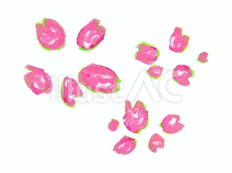 桜花びら 桜,花びら,入学のイラスト素材