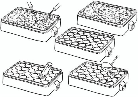 たこ焼きづくり5種　墨筆 たこ焼き,たこ焼き器,作る,たこ,蛸,具材,生地,お玉,油引き,過程のイラスト素材