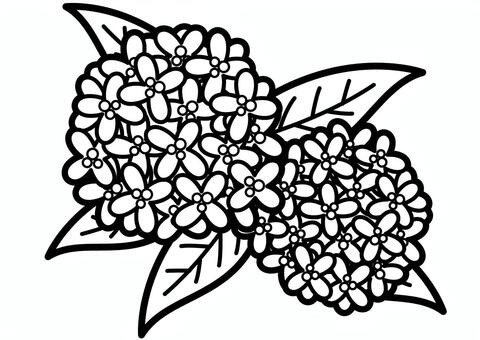 金木犀-1c 金木犀,花,葉,植物,かわいい,シンプル,モノクロ,白黒,シルエットのイラスト素材