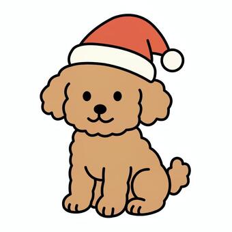 サンタの帽子を被ったトイプードル トイプードル,サンタクロース,帽子,おすわり,クリスマス,イブ,12月のイラスト素材