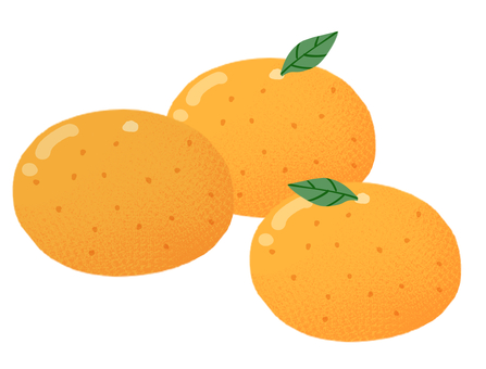 みかんのイラスト みかん,果物,冬,ビタミン,オレンジ,素材,イラスト,イラスト素材,手描き,ポップのイラスト素材