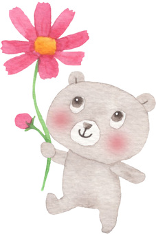 コスモスとくま コスモス,くま,秋,秋桜,花,植物,動物,かわいい,ほんわか,癒しのイラスト素材