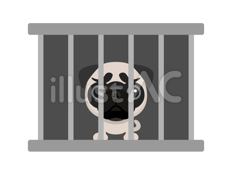 ペット問題 殺処分,保健所,pngのイラスト素材