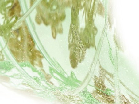 淡彩ステンドグラスgreen 04 光,淡色,レトロ,透明感,ステンドグラス,グラデーション,淡彩,風,空気感,ノスタルジックのイラスト素材