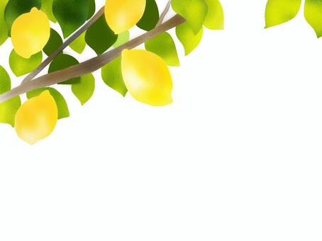 Lemon, JPG and PNG Lemon, , JPG and PNG