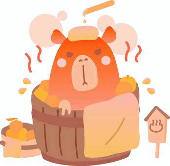カピバラが熱い温泉に入っているイラスト 冬至,12月,冬,カピバラ,熱い,我慢,熱湯,柚子湯,かわいい,ゆるいのイラスト素材