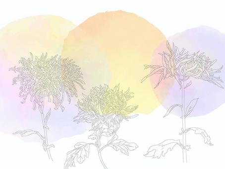 やさしげな背景217＿菊 花,壁紙,フレーム,菊,キク,秋,背景,秋の花,植物,枠のイラスト素材