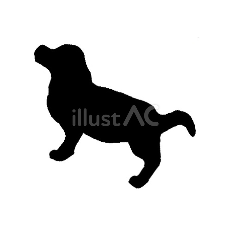 犬。。 犬,シルエット,動物のイラスト素材