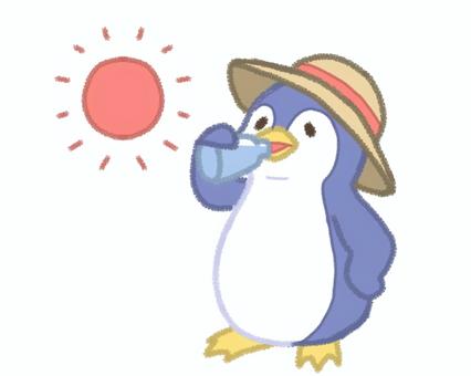 水分補給するペンギン ペンギン,ぺんぎん,動物,ペット,デフォルメ,動物園,アニマル,シンプル,手書き,太陽のイラスト素材