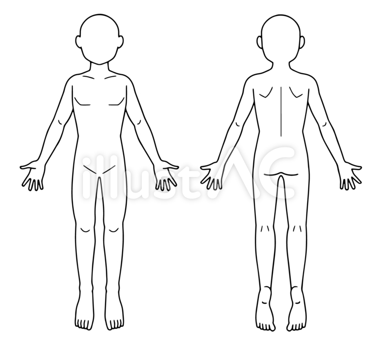 人体図、シェーマ、身体部位カルテ用、男性 人体,図,シェーマのイラスト素材