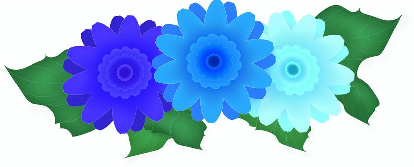 blue gerbera, JPG and PNG blue gerbera, blue, flower, gerbera, JPG and PNG