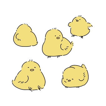 ヒヨコ ヒヨコ,動物,手書き,かわいい,ゆるい,鳥のイラスト素材