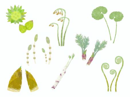 山菜 セット 山菜,シンプル,セット,ふきのとう,たけのこ,わらび,ぜんまい,タラの芽,ふき,山うどのイラスト素材