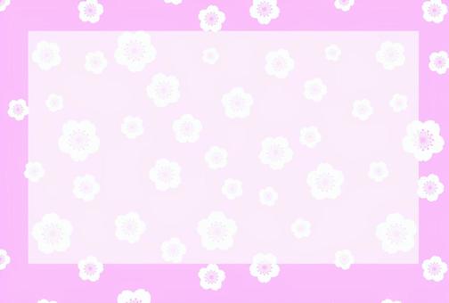 桜のポストカード 桜のポストカード 春,花,植物のイラスト素材