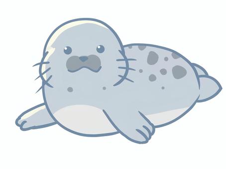 アザラシ