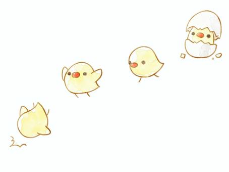 生まれるひよこ ひよこ,可愛い,卵,生まれる,孵化,歩く,跳ぶ,転ぶ,水彩風のイラスト素材