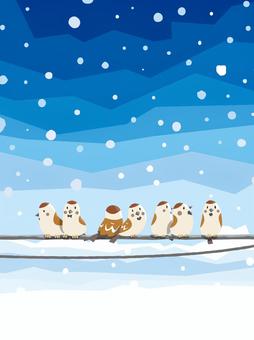 冬のすずめ02 すずめ,冬,雪,電線,空のイラスト素材