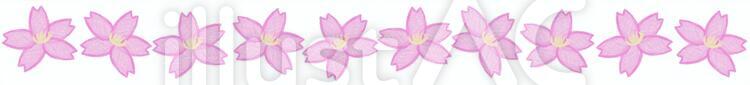 色鉛筆風の桜の線 桜,色鉛筆,手書きのイラスト素材