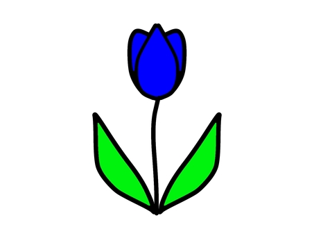 チューリップ、青