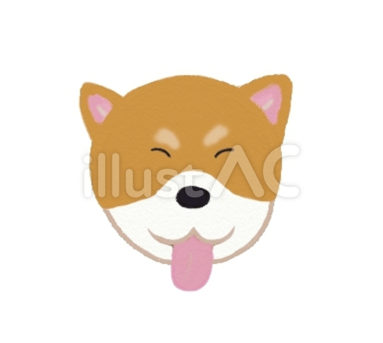 柴犬 柴犬 柴犬,犬,いぬのイラスト素材