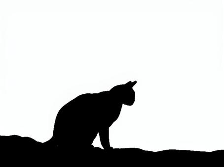 猫。。 猫,シルエット,動物,背景透過,黒猫,イラスト,素材,透過png,アイコン,ペットのイラスト素材