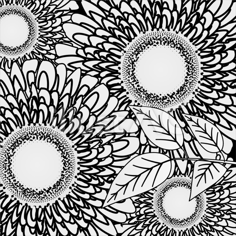 花　花びら　葉　白黒　拡大　アップ　背景 花,花びら,葉のイラスト素材