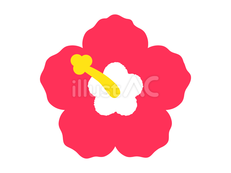 かわいいハイビスカスの花のイラスト／赤 ハイビスカス,夏,花のイラスト素材