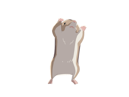 ハムスター（見上げる・主線なし）