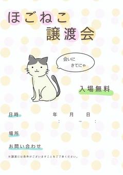 ほごねこ譲渡会チラシA4 迷子猫,保護猫,里親,張り紙,チラシ,テンプレート,募集,かわいい,シンプルのイラスト素材