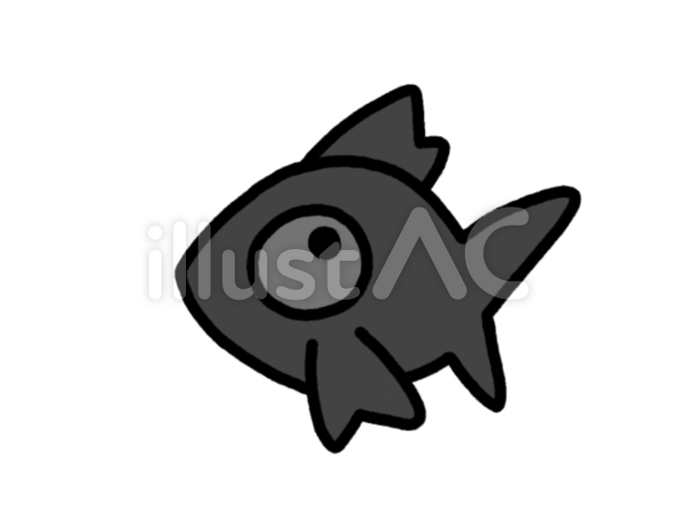 出目金　黒 出目金,デメキン,でめきんのイラスト素材