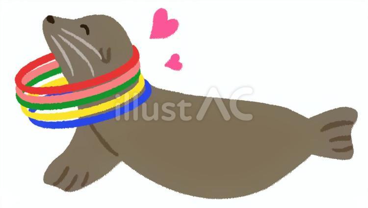 輪投げをすべて成功させて喜ぶアシカ アシカ,輪,アシカショーのイラスト素材