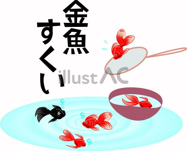金魚すくい　　 金魚すくい,生き物,祭りのイラスト素材