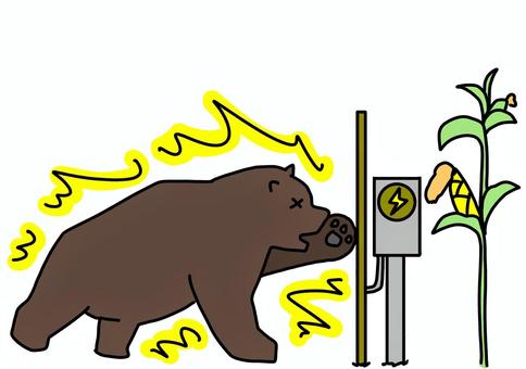 とうもろこしと電気柵で感電する熊　カラー とうもろこし,クマ,感電,電気柵,ビックリ,害獣,カラーのイラスト素材
