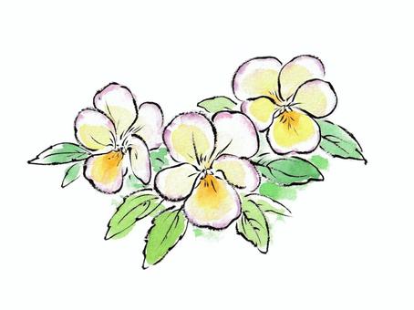 絵手紙風のパンジー パンジー,花,植物,春,4月,5月,黄色,葉,絵手紙風,毛筆のイラスト素材