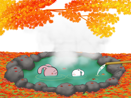 ごくらくごくらく_もみじの湯2 秋,晩秋,錦秋,9月,10月,11月,温泉,露天風呂,秘湯,うさぎのイラスト素材