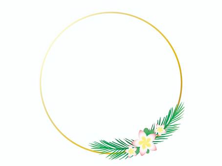 Photo frames, tropical flowers, JPG and AI Photo frames, tropical flowers, frame, wheel, photo frame, JPG and AI