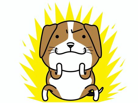 Illustration, beagle, fighting spirit, motivation, 