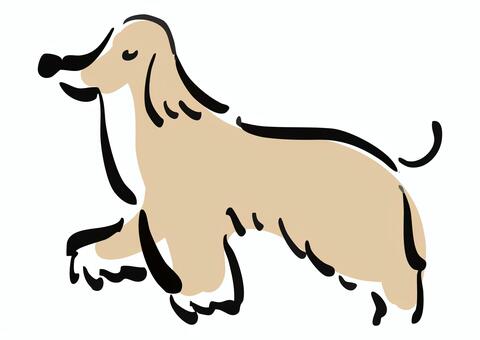 歩くアフガンハウンド アフガンハウンド,犬,かわいい,毛,長い,わんこ,ペット,動物,ふわふわ,シンプルのイラスト素材