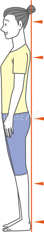姿勢 姿勢,美容,猫背対策のイラスト素材